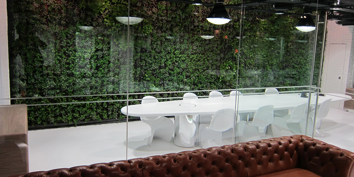 Example of biophilic design, feature wall